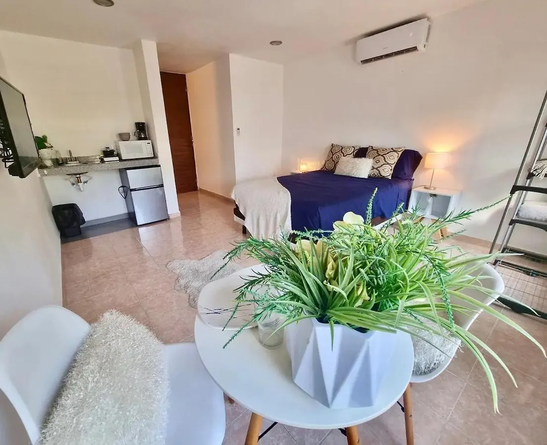 فندق Casa Noemi بلايا ديل كارمن 0*,